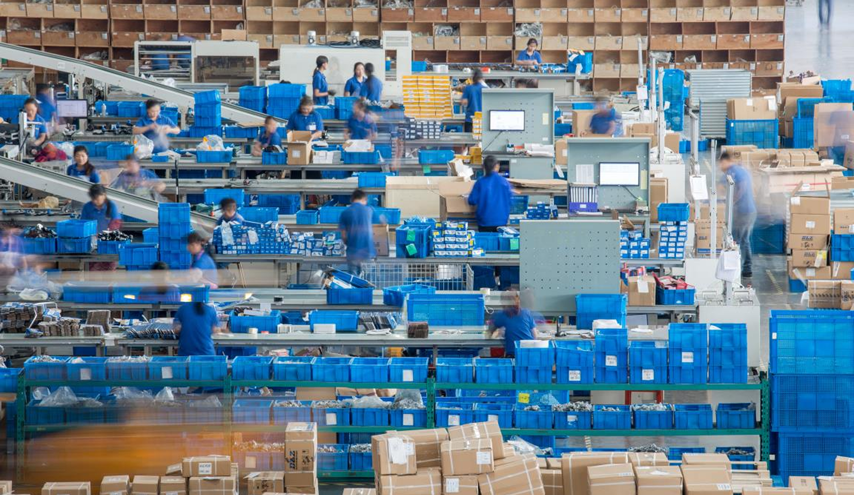 Packaging & Logistics at DLZ